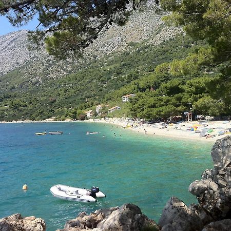 Apartments Vile Holiday Živogošće Dış mekan fotoğraf