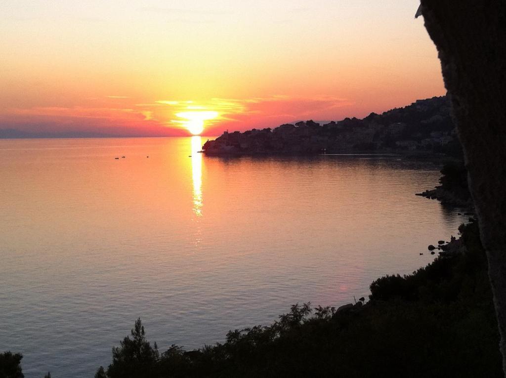 Apartments Vile Holiday Živogošće Dış mekan fotoğraf