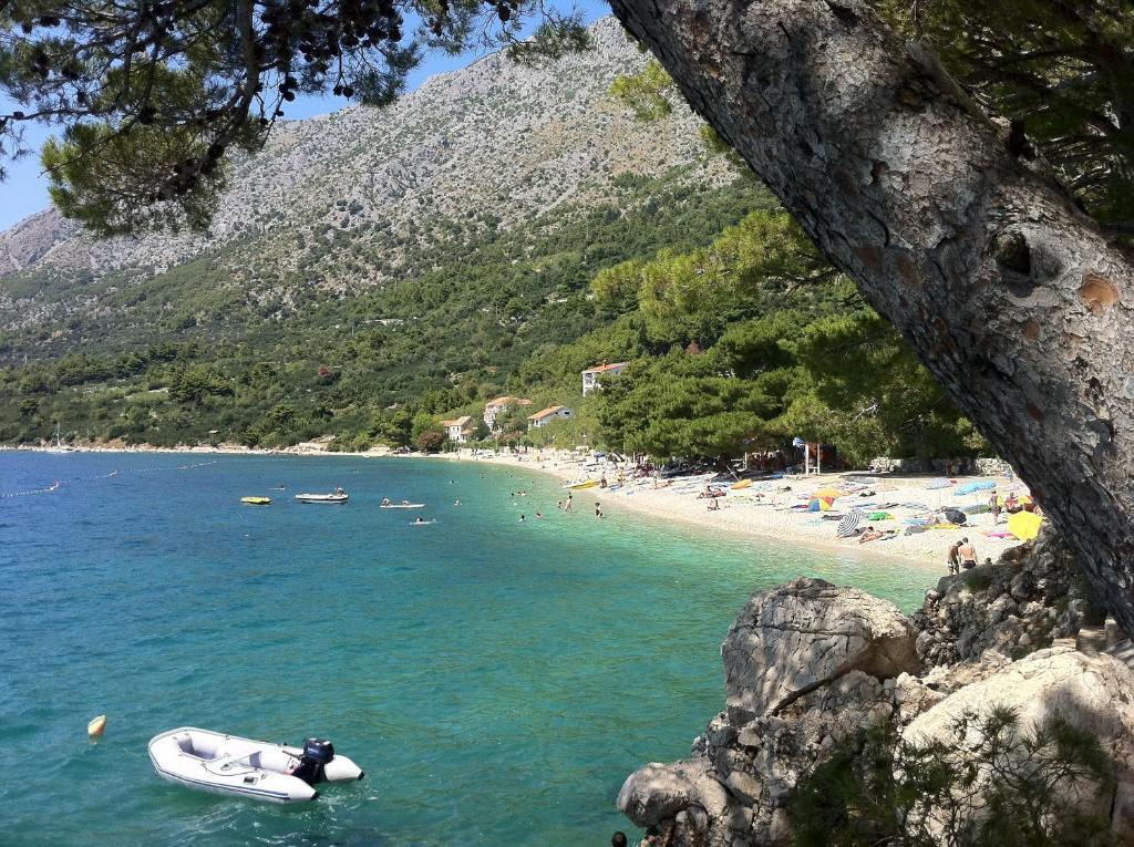 Apartments Vile Holiday Živogošće Dış mekan fotoğraf